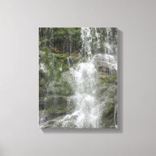 La Chute Waterfall in Forillon National Park Canvas Afdruk