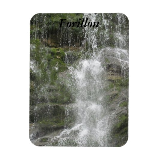 La Chute Waterfall in Forillon National Park Magneet (Verticaal)