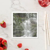 La Chute Waterfall in Forillon National Park Servet (Insitu)