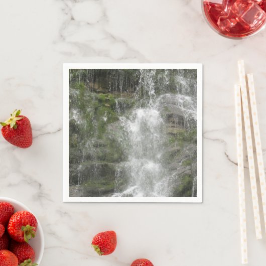 La Chute Waterfall in Forillon National Park Servet (Insitu)