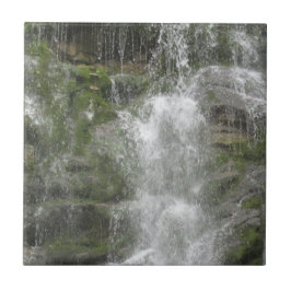 La Chute Waterfall in Forillon National Park Tegeltje