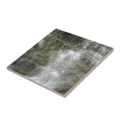 La Chute Waterfall in Forillon National Park Tegeltje (Zijkant)