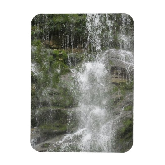 La Chute-waterval in Forillon National Park Magneet (Verticaal)