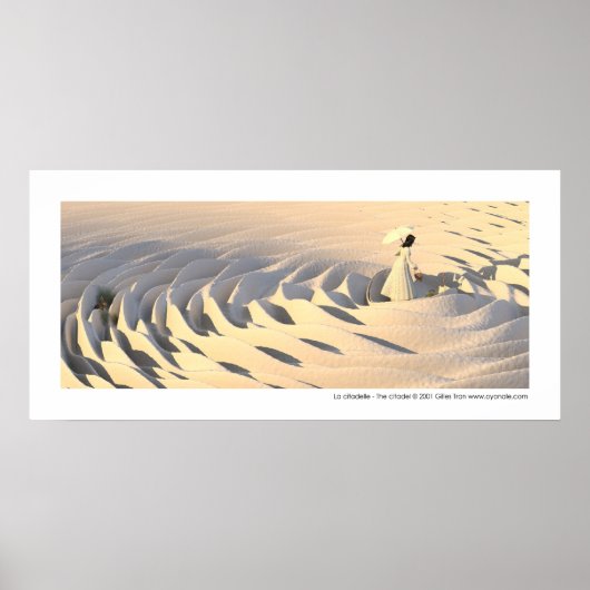 La citadelle - The citadel Poster (Voorkant)