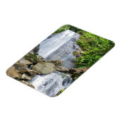 La coca herfst van het nationale bos van el yunque magneet (Linkerzijde)