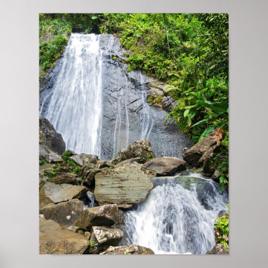 La coca herfst van het nationale bos van el yunque poster (Voorkant)