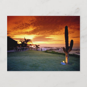 La Concha restaurant, Baja, Mexico Briefkaart