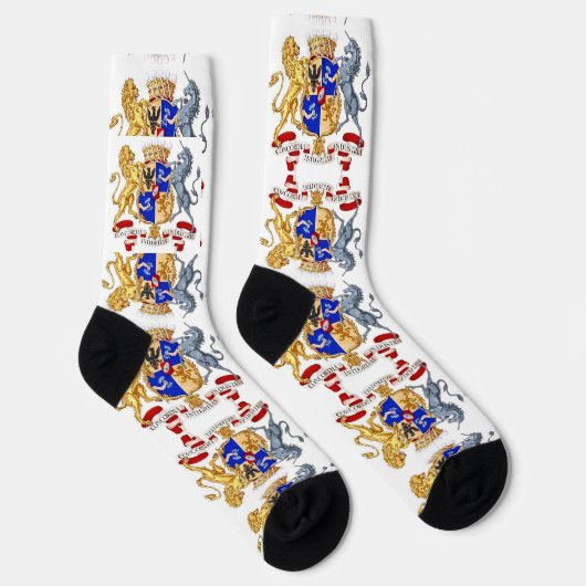 La Concordia Integritas sokken (Rechts)