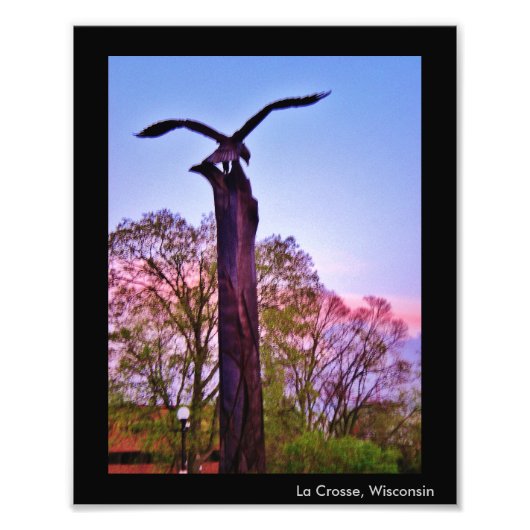 La Crosse Eagle Foto Afdruk (Voorkant)