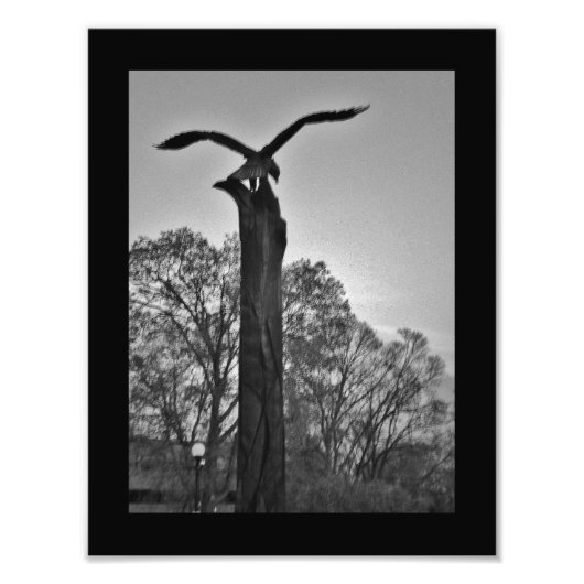 La Crosse Eagle Foto Afdruk (Voorkant)