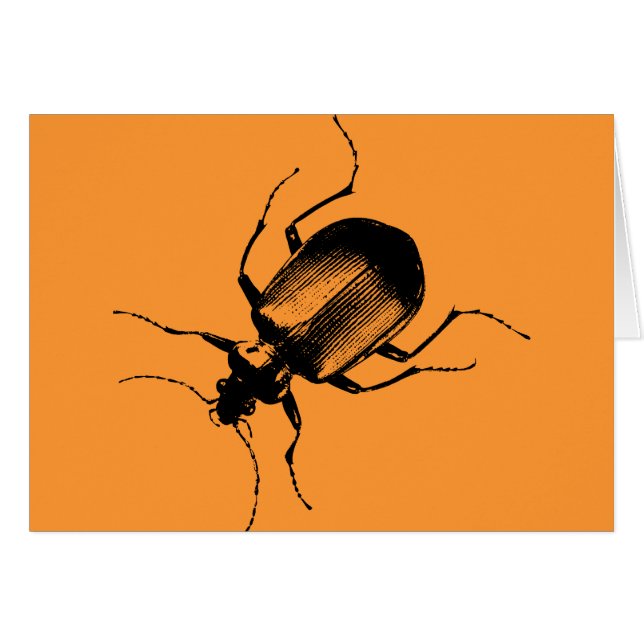 La Cucaracha (Voorkant Horizontaal)
