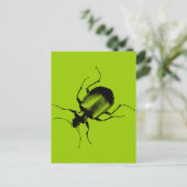 La Cucaracha Briefkaart (Staand voorkant)