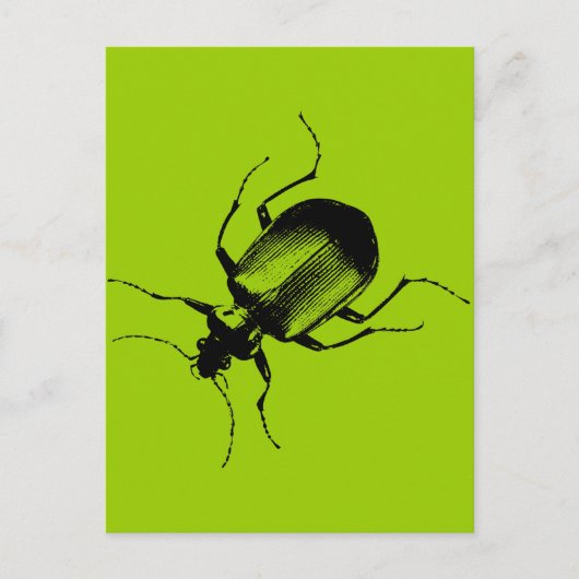 La Cucaracha Briefkaart (Voorkant)