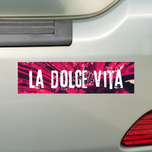 La Dolce Vita Gerbera Daisy Bumpersticker (Op auto)