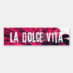 La Dolce Vita Gerbera Daisy Bumpersticker