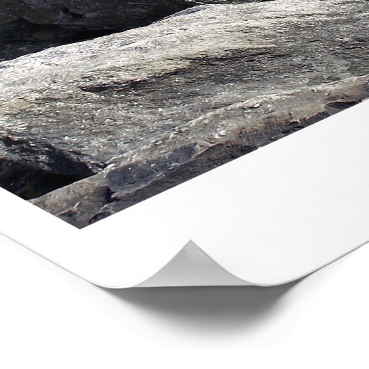 la famiglia poster (Hoek)