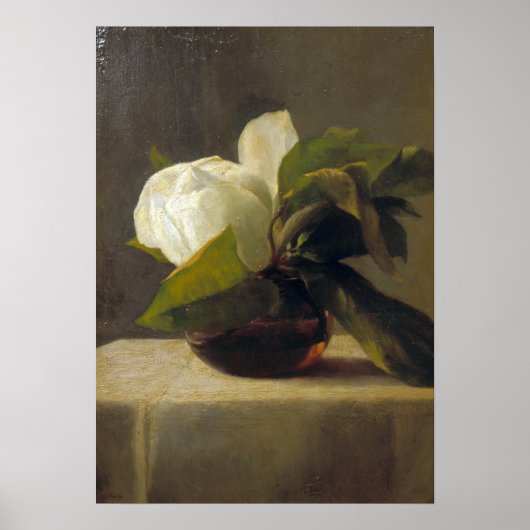La Farge - Magnolia Poster (Voorkant)