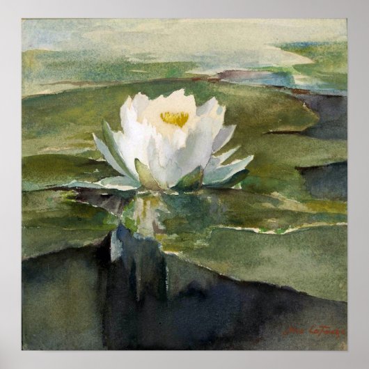 La Farge - Waterlelie in zonlicht Poster (Voorkant)