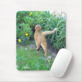 La favorita del barrio muismat (Met muis)