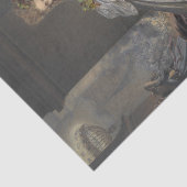 La Frayeur (Fear) by Pierre-Louis Pierson Tissuepapier (Detail)