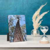 La Gerche Ponderosa Pijnboom fotoplaat (Zijkant)