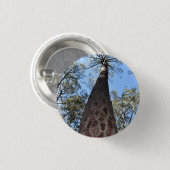 La Gerche Ponderosa Pine Badge Ronde Button 3,2 Cm (Voorkant /achterkant)