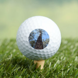 La Gerche Ponderosa Pine Golf Ball Golfballen