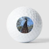 La Gerche Ponderosa Pine Golf Ball Golfballen (Voorkant)