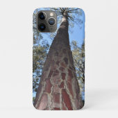 La Gerche Ponderosa Pine iPhone/iPad Cover (Achterkant)