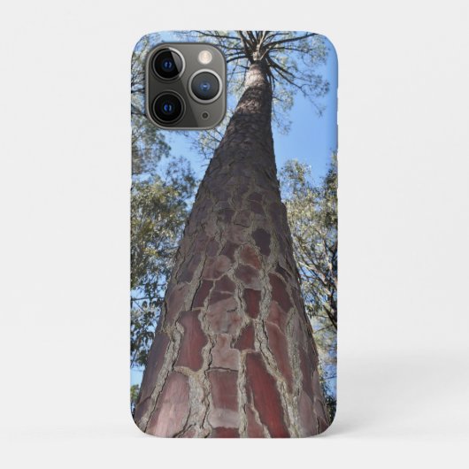 La Gerche Ponderosa Pine iPhone/iPad Cover (Achterkant)