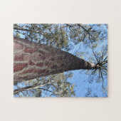 La Gerche Ponderosa Pine Legpuzzel (Horizontaal)