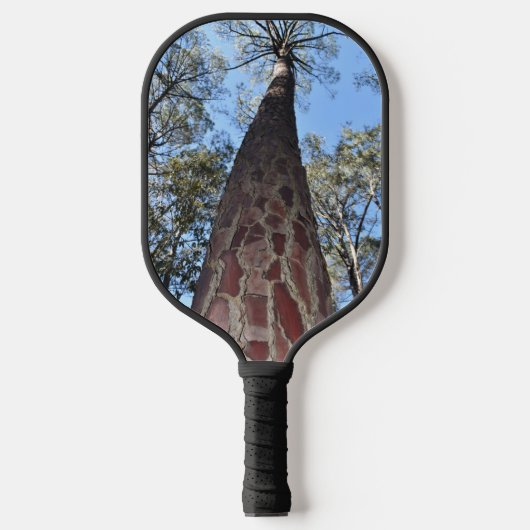 La Gerche Ponderosa Pine Pickleball Paddle (Voorkant)