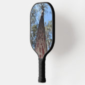 La Gerche Ponderosa Pine Pickleball Paddle (Links)