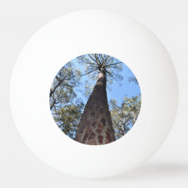 La Gerche Ponderosa Pine Ping Pong Ball