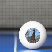 La Gerche Ponderosa Pine Ping Pong Ball (Net)