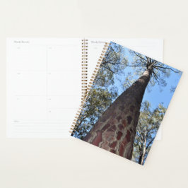 La Gerche Ponderosa Pine Planner