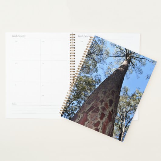 La Gerche Ponderosa Pine Planner (Display)