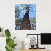 La Gerche Ponderosa Pine Poster (Thuiskantoor)