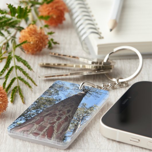 La Gerche Ponderosa Pine sleutelhanger (Voorkant Rechts)