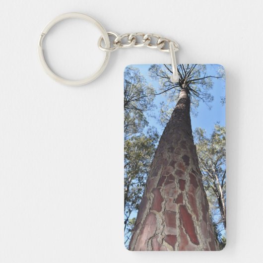 La Gerche Ponderosa Pine sleutelhanger (Voorkant)