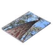 La Gerche Ponderosa Pine Spiral Notitieboek (Linkerzijde)