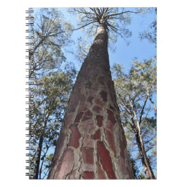 La Gerche Ponderosa Pine Spiral Notitieboek