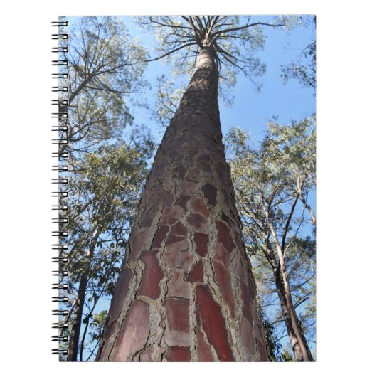 La Gerche Ponderosa Pine Spiral Notitieboek (Voorkant)