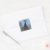 La Gerche Ponderosa Pine Sticker (Envelop)