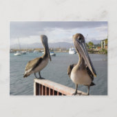 La Guancha en Ponce Briefkaart (Voorkant)