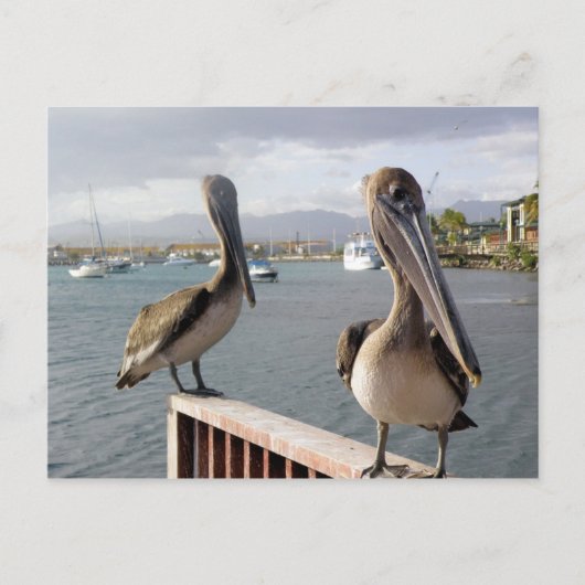 La Guancha en Ponce Briefkaart (Voorkant)