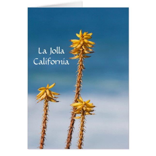 La Jolla Agave en Ocean (Voorkant)