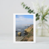 La Jolla Beach Seabirds Custom California Briefkaa Briefkaart (Staand voorkant)