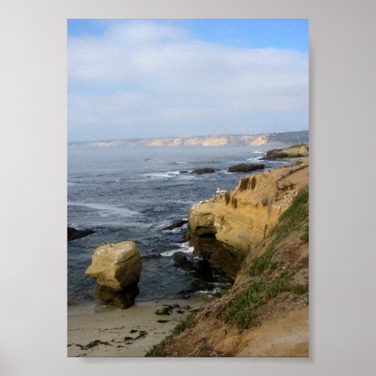 La Jolla Beach Seabirds Custom Poster Art Print (Voorkant)