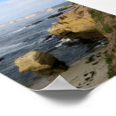 La Jolla Beach Seabirds Custom Poster Art Print (Hoek)